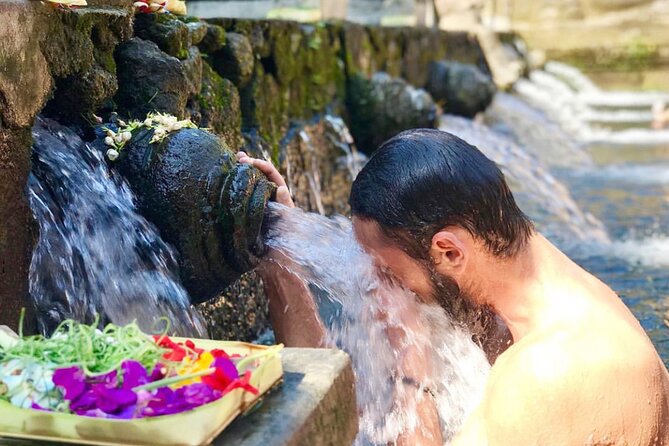 Tour in the Center of Bali - Highlights of the Tour