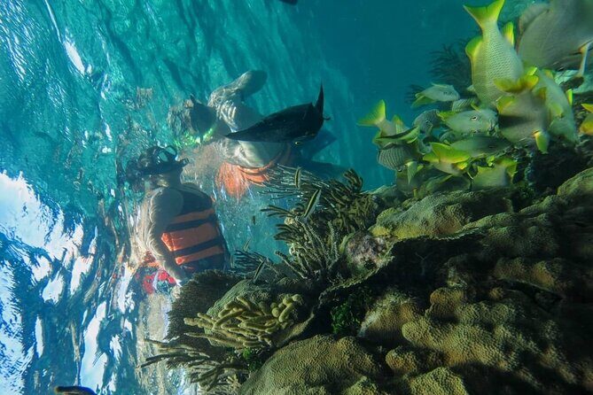 Tour in the Contoy Island Reserve Plus Visit to Isla Mujeres - Isla Contoy: Nature and Guided Exploration