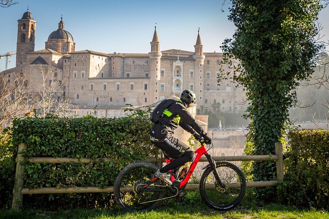 Tour in the Marche by Raffaello Sanzio: Art, Nature, Food and Wine - Tour Overview