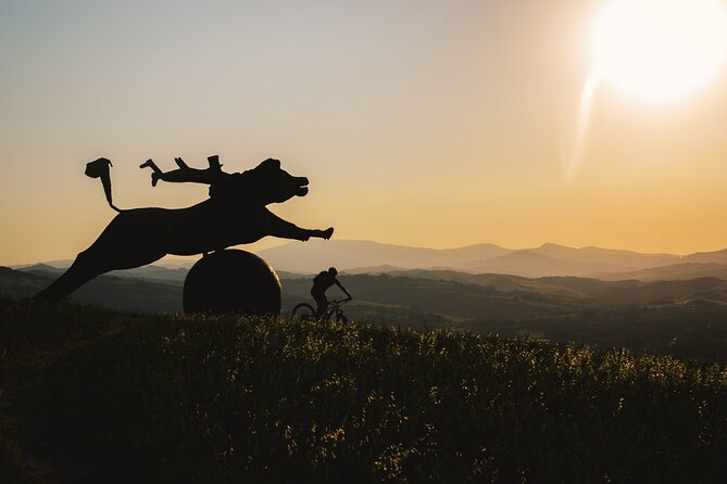 Tour in the Marche by Raffaello Sanzio: Art, Nature, Food and Wine - Detailed Itinerary