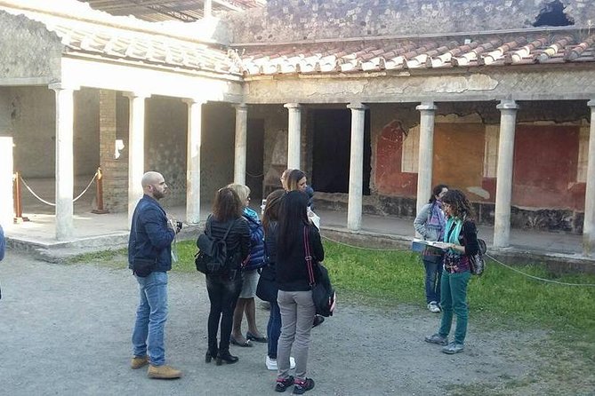 Tour in the Villa of Poppea With an Archaeologist - Meeting and Pickup