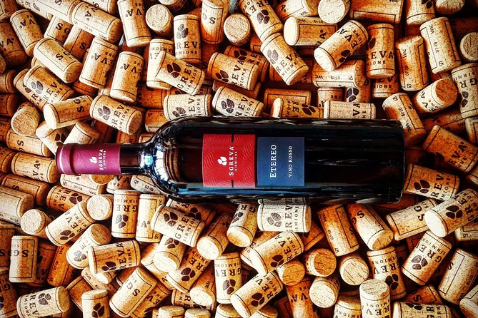 Tour in the Winery and Tasting - Traveler Experience
