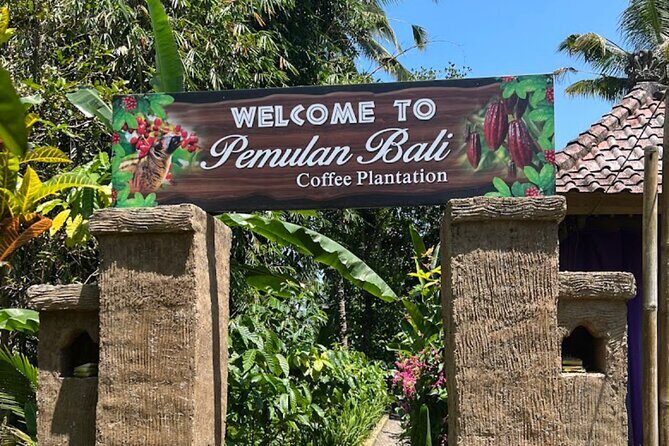 Tour in Ubud with a Private Driver - Who Is This Tour Perfect For?