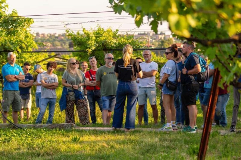 Tour in Valpolicella: wine, oil, and peach tasting - Good To Know