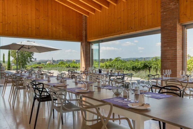 Tour in Valpolicella: wine, oil, and peach tasting - Exploring the Experience