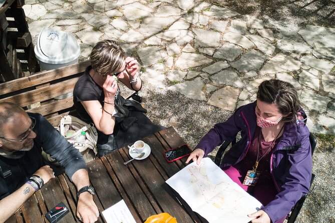 Tour in Volterra With a Licensed Tour Guide - The Sum Up