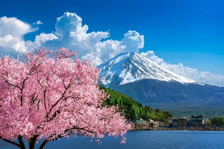 Tour - Japan Bonsai (12 Days) by Bavaria Fernreisen - Kyoto’s temples reward a focused eye