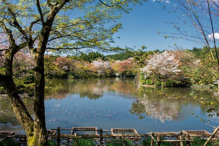 Tour - Japan Bonsai (12 Days) by Bavaria Fernreisen - Nagano and the Fuji region bring a change of pace