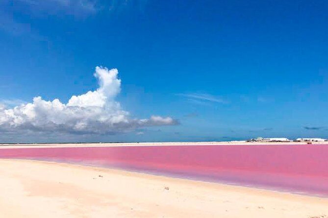 Tour Las Coloradas! Amazing Pink Lake Round Transportation from Tulum - FAQ