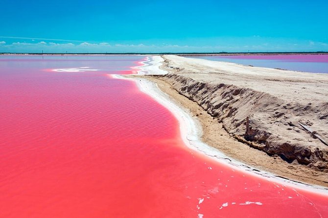 Tour Las Coloradas & Rio Lagartos From Riviera Maya - Cancellation Policy