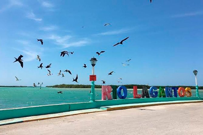 Tour Las Coloradas & Rio Lagartos From Riviera Maya - Reviews and Pricing