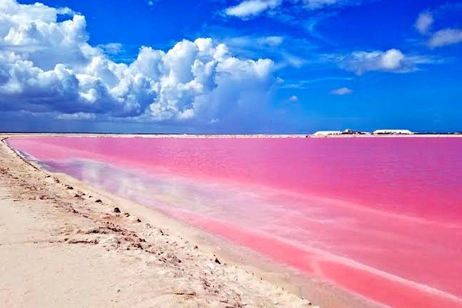 Tour Las Coloradas & Rio Lagartos Only From Tulum - Traveler Photos and Reviews