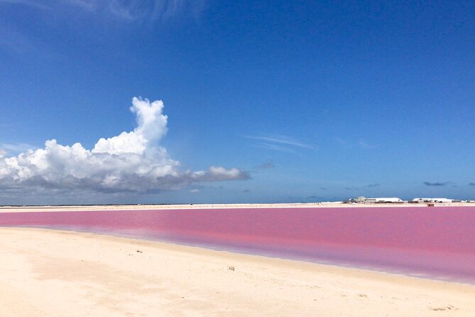 Tour Las Coloradas & Rio Lagartos Only From Tulum - The Sum Up