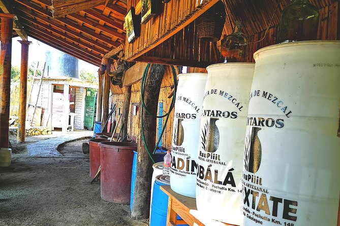 Tour Los Caminos Del Mezcal Café and Pedal Loom Factory - Exploring Los Caminos Del Mezcal Café