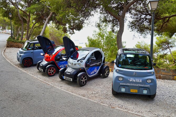 Tour Malaga Premium by Electric Car - Experience the Beauty of Malagas Landmarks