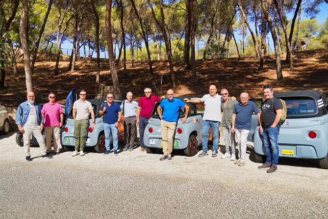 Tour Malaga Premium by Electric Car - Immerse Yourself in Malagas Rich History