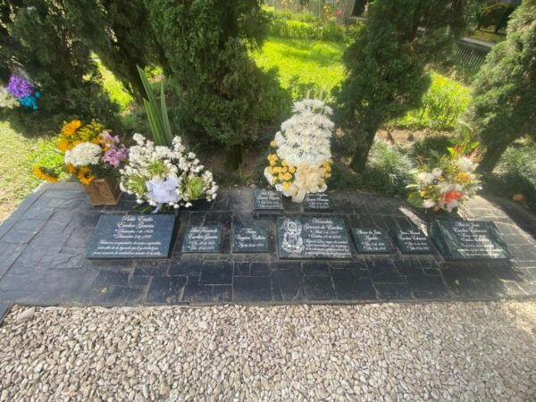 Tour Medellín: Pablo Escobar and Commune 13 - How to Book Your Tour in Medellín