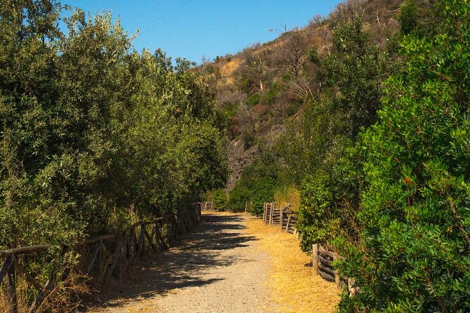 Tour Monte Nuovo and Lake Averno - Tour Overview