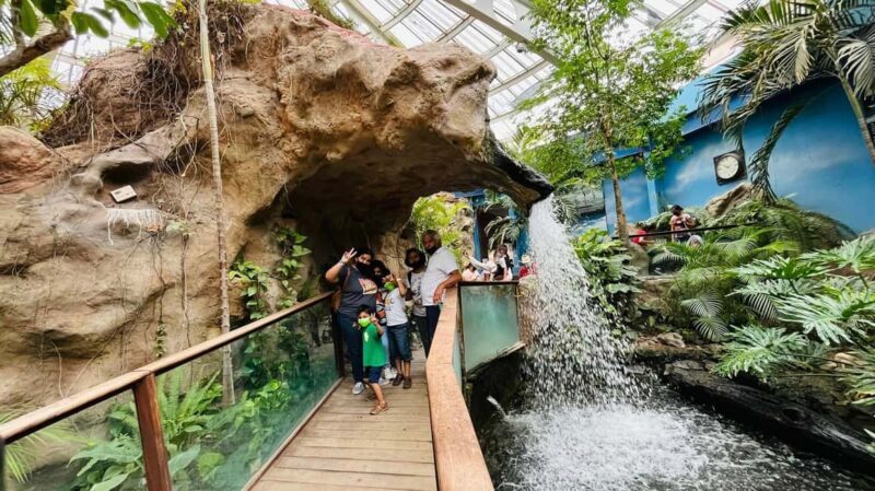 TOUR "Museo del Desierto" + Traslados + Tickets incluidos - Exploring the Desert Museum and Saltillo: A Deep Dive into Mexico’s Paleontological and Cultural Heritage