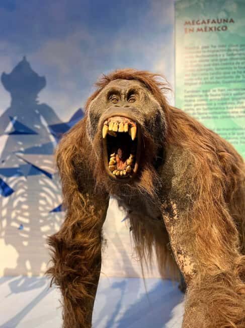 TOUR "Museo del Desierto" + Traslados + Tickets incluidos - What Makes This Tour Stand Out?