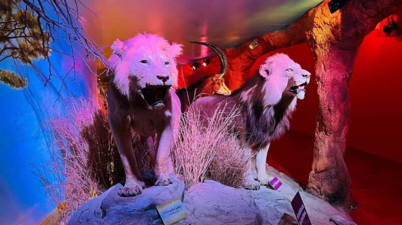 TOUR "Museo del Desierto" + Traslados + Tickets incluidos - Final Thoughts: Who Will Love This Tour?