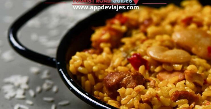 Tour: Mussels, Rice Plantation & Paella - Activities and Experiences