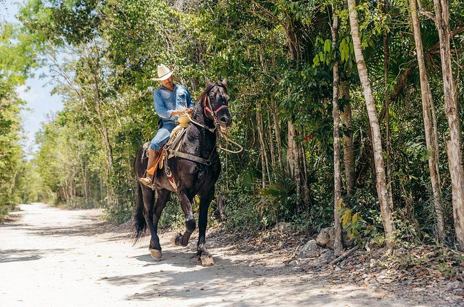 Tour Nature on horseback and cenote - Authentic Experiences & Hidden Details
