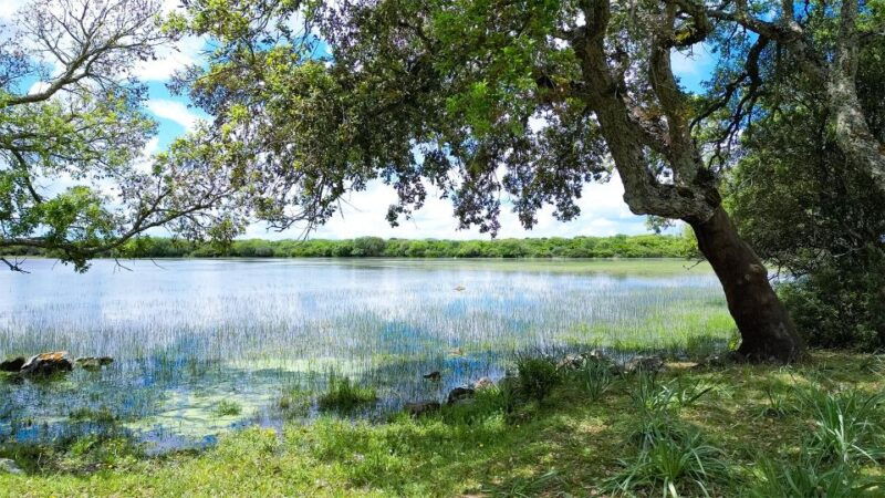 Tour Nature & Wildlife From Cagliari - Itinerary Highlights
