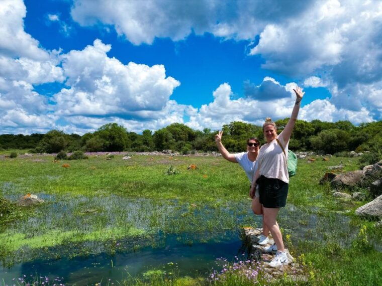 Tour Nature & Wildlife From Cagliari - Wild Horses of the Giara Plateau