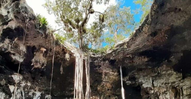 Tour of 3 Cenotes in Merida - Good To Know