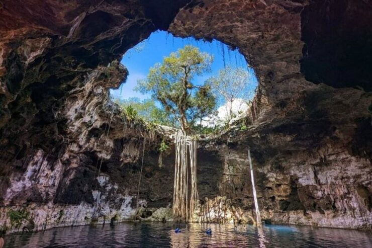 Tour of 3 Cenotes in Merida - Cenote Santa Barbara: A Natural Wonder