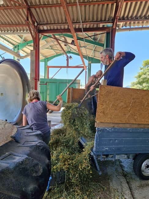 Tour of a family-run lavender essential oil distillery - Exploring the Lavender World in Auvergne-Rhône-Alpes