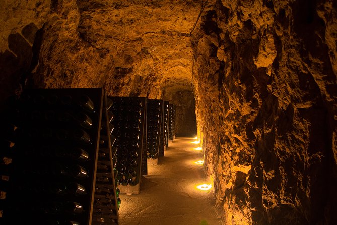Tour of a Vineyard, Winery & Cellar With Wine Tasting in Vouvray, Loire Valley - End Point and Cancellation Policy