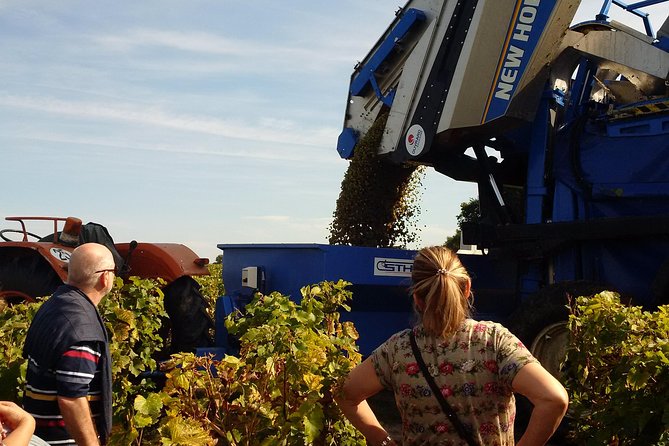 Tour of a Vineyard, Winery & Cellar With Wine Tasting in Vouvray, Loire Valley - Common Questions