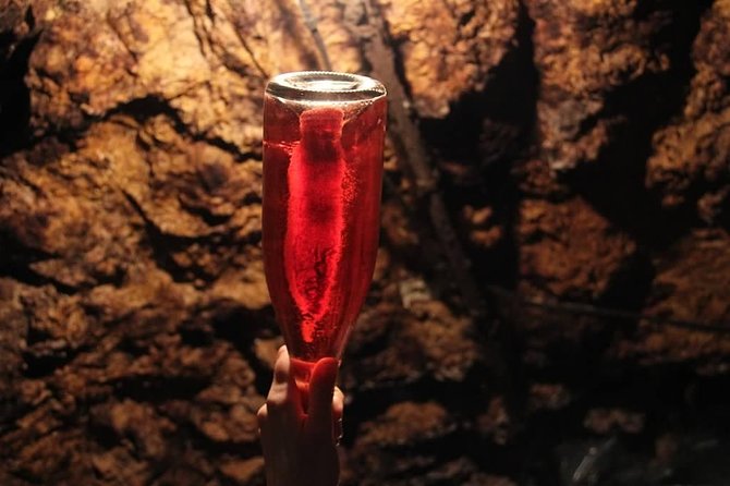 Tour of a Vineyard, Winery & Cellar With Wine Tasting in Vouvray, Loire Valley - The Sum Up
