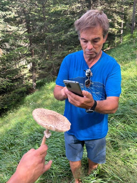 Tour of Aran 4×4 - Fauna, Flora and Alpine Nature - Tour Overview and Pricing