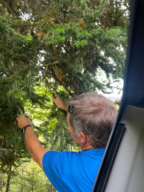 Tour of Aran 4×4 - Fauna, Flora and Alpine Nature - Customer Feedback and Ratings