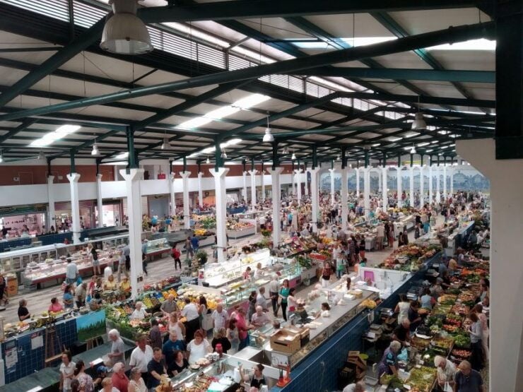 Tour of Arrábida and Beautiful Landscapes and Wine Tasting - Tour Details