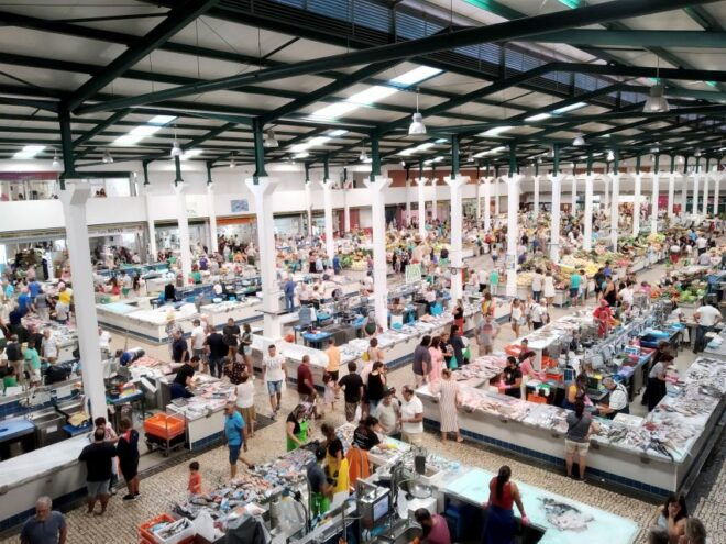 Tour of Arrábida and Beautiful Landscapes and Wine Tasting - Activities