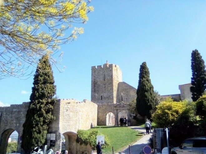 Tour of Arrábida and Beautiful Landscapes and Wine Tasting - The Sum Up