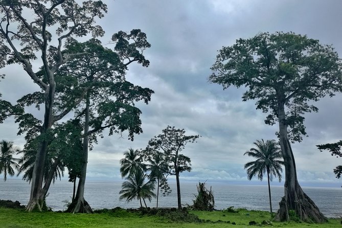 Tour of Bioko Island - Pricing Details