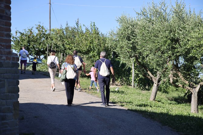 Tour of Castagnole Lanze With Tasting of Wines and Typical Products - Good To Know