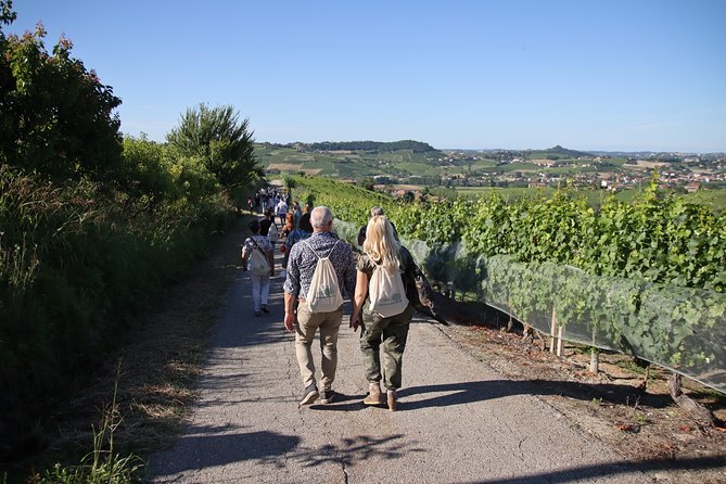 Tour of Castagnole Lanze With Tasting of Wines and Typical Products - Gourmet Picnic Experience