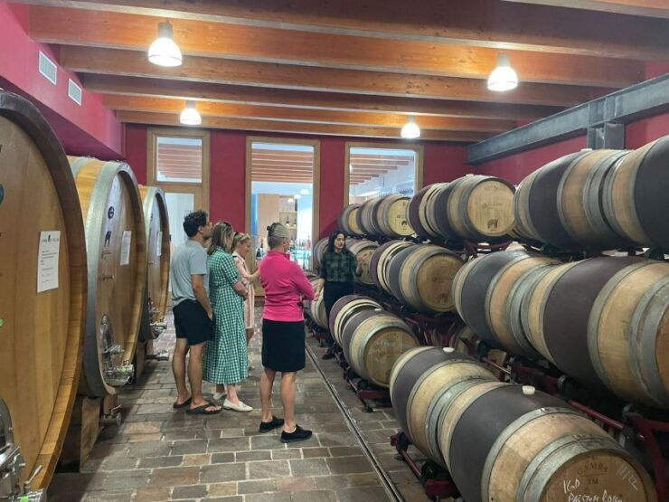 Tour of Cilento: a Journey Through History and Archaeology - Tour Pricing and Duration