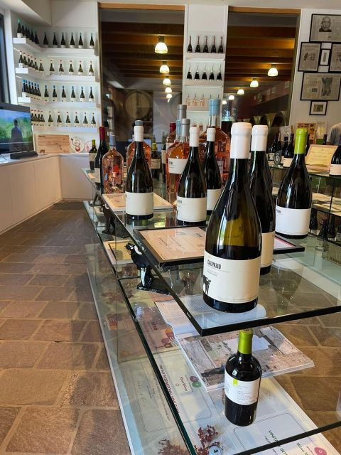 Tour of Cilento: a Journey Through History and Archaeology - Tour Highlights and Cancellation Policy