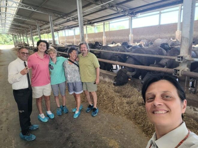 Tour of Cilento: a Journey Through History and Archaeology - Tour Description and Itinerary