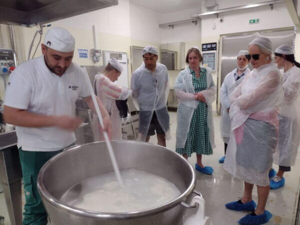 Tour of Cilento: a Journey Through History and Archaeology - Van Mercedes and Lunch Details