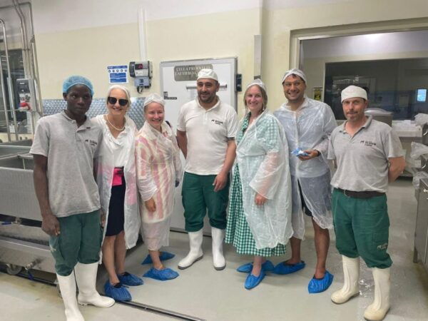 Tour of Cilento: a Journey Through History and Archaeology - Booking Information and Flexibility