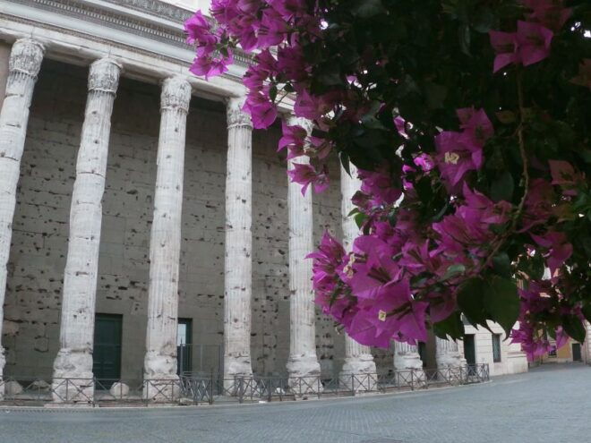 Tour of Colosseum & Roman Forum Met Nederlandse Gids - Positive Reviews From Customers
