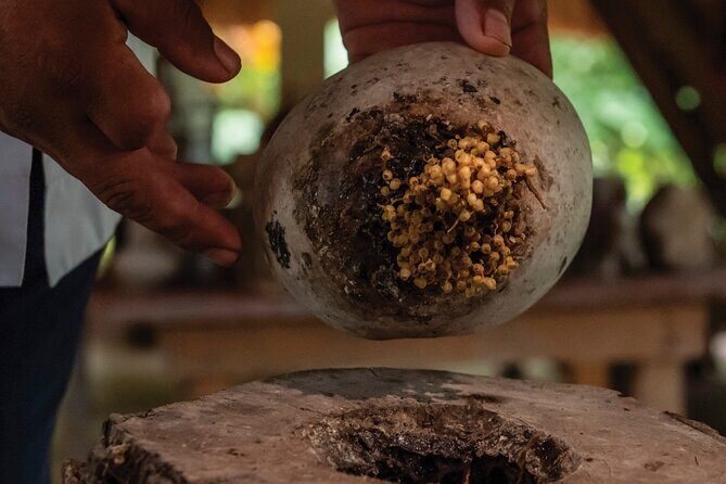 Tour of Haciendas del Camino Real de Campeche - FAQ